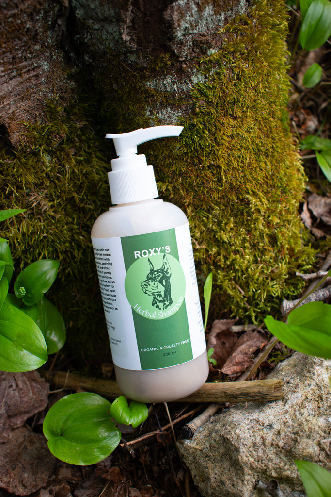 Organic Natural Herbal Shampoo for Dogs - Mama's Organics Natural Skin Care